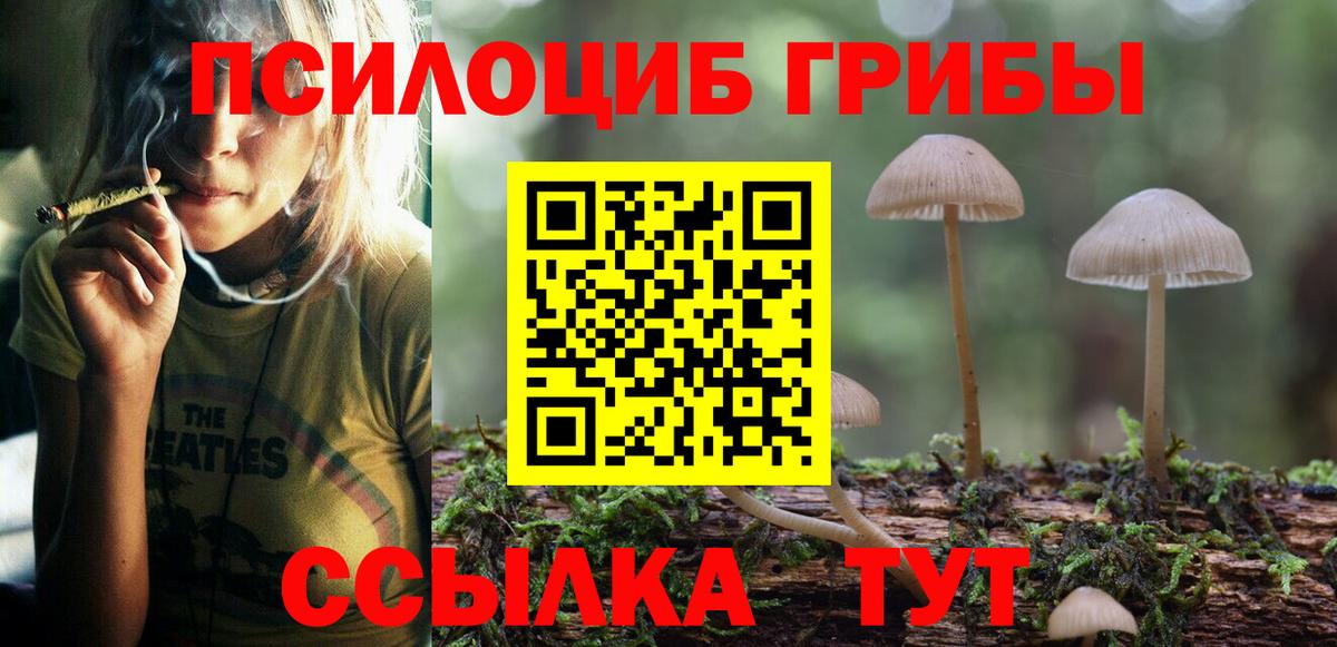 Псилоцибиновые грибы Psilocybe Мытищи