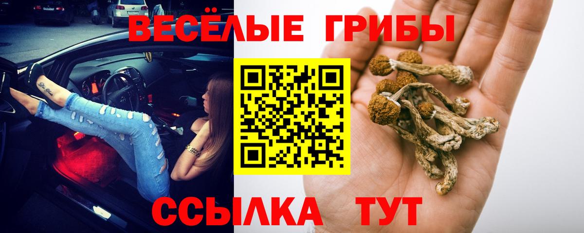 Галлюциногенные грибы прущие грибы  где найти   Мытищи  Вход с VPN 
